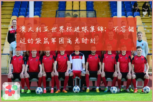澳大利亚世界杯进球集锦：不容错过的袋鼠军团高光时刻