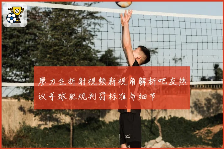 廖力生折射视频新视角解析吧友热议手球犯规判罚标准与细节
