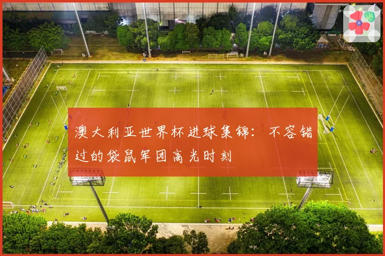 澳大利亚世界杯进球集锦：不容错过的袋鼠军团高光时刻