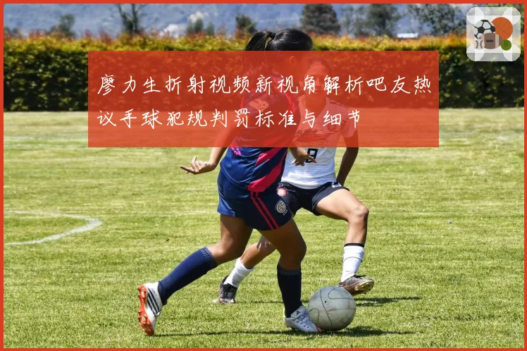 廖力生折射视频新视角解析吧友热议手球犯规判罚标准与细节